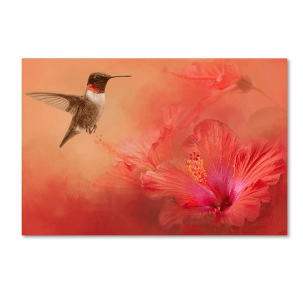 Hummingbird and Peach Hibiscus Animal Wall Art - We Love Hummingbirds