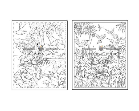 Hummingbird Coloring Book: an Adult Coloring Book Featuring Charming Hummingbirds, Beautiful Flowers and Nature Patterns for Stress Relief and Relaxation (Bird Coloring Books) - We Love Hummingbirds