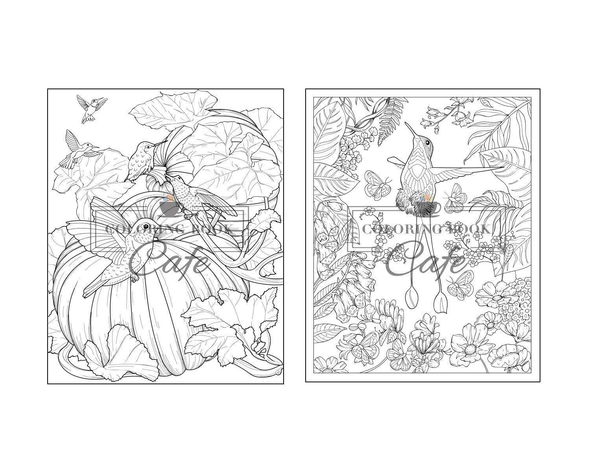 Hummingbird Coloring Book: an Adult Coloring Book Featuring Charming Hummingbirds, Beautiful Flowers and Nature Patterns for Stress Relief and Relaxation (Bird Coloring Books) - We Love Hummingbirds