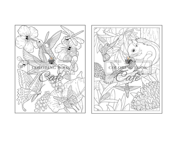 Hummingbird Coloring Book: an Adult Coloring Book Featuring Charming Hummingbirds, Beautiful Flowers and Nature Patterns for Stress Relief and Relaxation (Bird Coloring Books) - We Love Hummingbirds