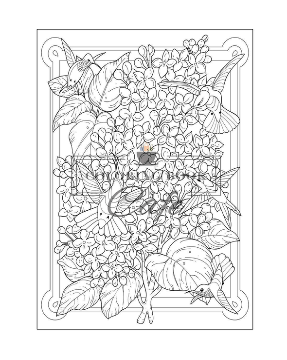 Hummingbird Coloring Book: an Adult Coloring Book Featuring Charming Hummingbirds, Beautiful Flowers and Nature Patterns for Stress Relief and Relaxation (Bird Coloring Books) - We Love Hummingbirds
