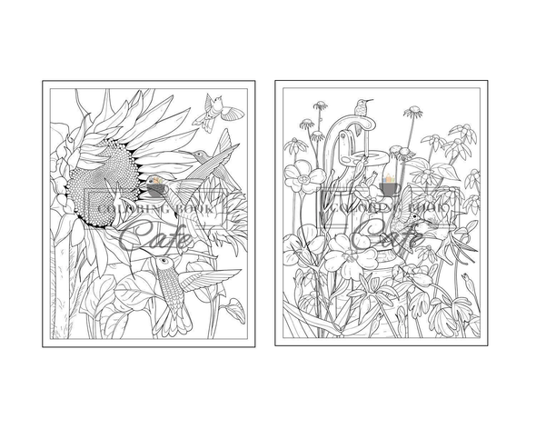 Hummingbird Coloring Book: an Adult Coloring Book Featuring Charming Hummingbirds, Beautiful Flowers and Nature Patterns for Stress Relief and Relaxation (Bird Coloring Books) - We Love Hummingbirds