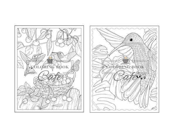 Hummingbird Coloring Book: an Adult Coloring Book Featuring Charming Hummingbirds, Beautiful Flowers and Nature Patterns for Stress Relief and Relaxation (Bird Coloring Books) - We Love Hummingbirds