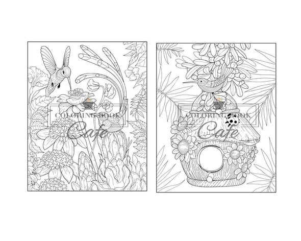 Hummingbird Coloring Book: an Adult Coloring Book Featuring Charming Hummingbirds, Beautiful Flowers and Nature Patterns for Stress Relief and Relaxation (Bird Coloring Books) - We Love Hummingbirds