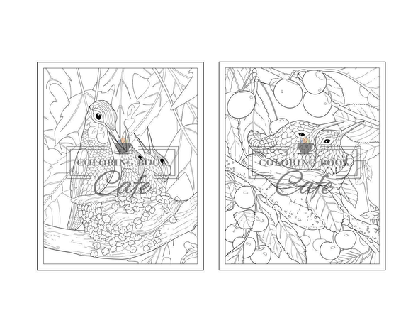 Hummingbird Coloring Book: an Adult Coloring Book Featuring Charming Hummingbirds, Beautiful Flowers and Nature Patterns for Stress Relief and Relaxation (Bird Coloring Books) - We Love Hummingbirds