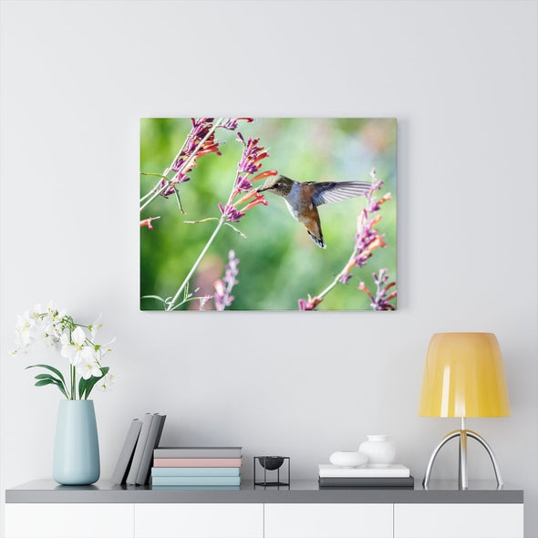 Hummingbird Eating Wall Art Decor - We Love Hummingbirds