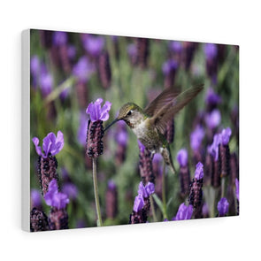 Hummingbird in Purple Flowers Wall Art Decor - We Love Hummingbirds