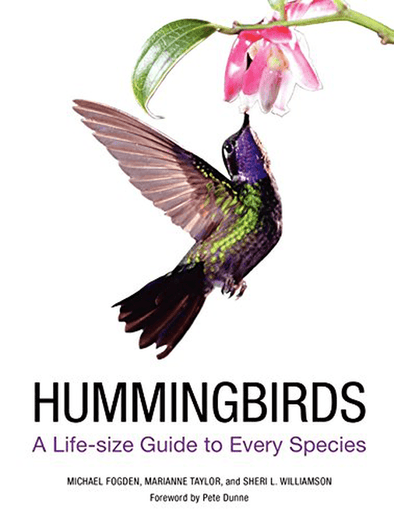 Hummingbirds: a Life-Size Guide to Every Species - We Love Hummingbirds