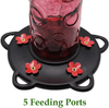Juegoal 28 Oz Glass Hummingbird Feeders for Outdoors, Wild Bird Feeder with 5 Feeding Ports, Metal Handle Hanging for Outdoor Garden Tree Yard, Red - We Love Hummingbirds