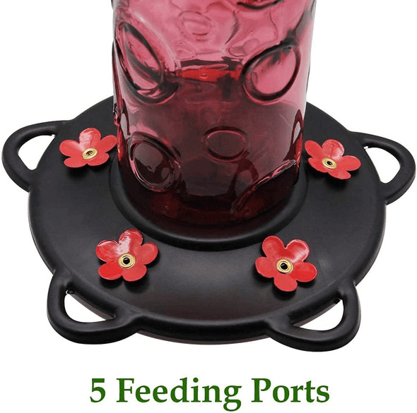 Juegoal 28 Oz Glass Hummingbird Feeders for Outdoors, Wild Bird Feeder with 5 Feeding Ports, Metal Handle Hanging for Outdoor Garden Tree Yard, Red - We Love Hummingbirds