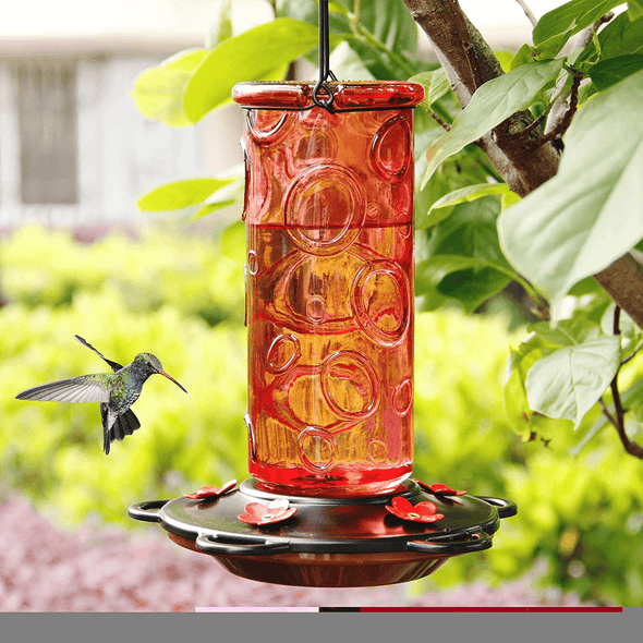 Juegoal 28 Oz Glass Hummingbird Feeders for Outdoors, Wild Bird Feeder with 5 Feeding Ports, Metal Handle Hanging for Outdoor Garden Tree Yard, Red - We Love Hummingbirds