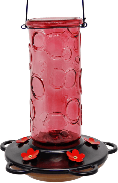 Juegoal 28 Oz Glass Hummingbird Feeders for Outdoors, Wild Bird Feeder with 5 Feeding Ports, Metal Handle Hanging for Outdoor Garden Tree Yard, Red - We Love Hummingbirds
