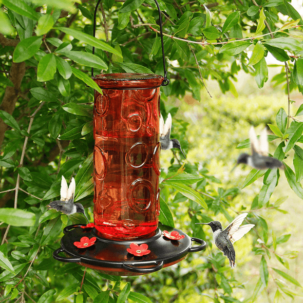 Juegoal 28 Oz Glass Hummingbird Feeders for Outdoors, Wild Bird Feeder with 5 Feeding Ports, Metal Handle Hanging for Outdoor Garden Tree Yard, Red - We Love Hummingbirds