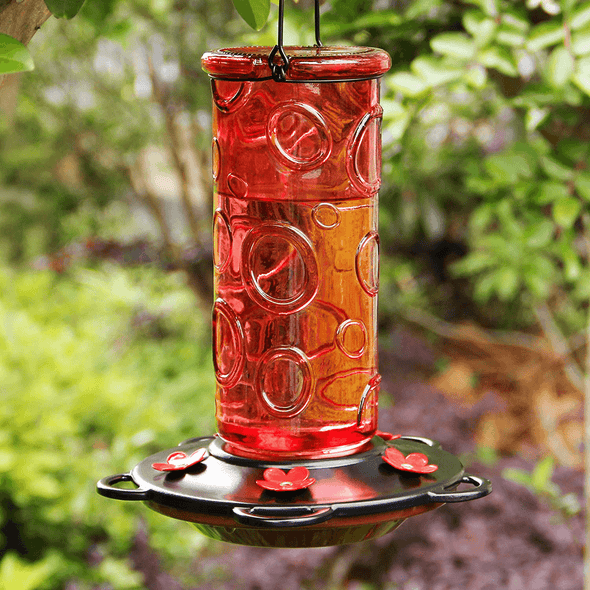 Juegoal 28 Oz Glass Hummingbird Feeders for Outdoors, Wild Bird Feeder with 5 Feeding Ports, Metal Handle Hanging for Outdoor Garden Tree Yard, Red - We Love Hummingbirds