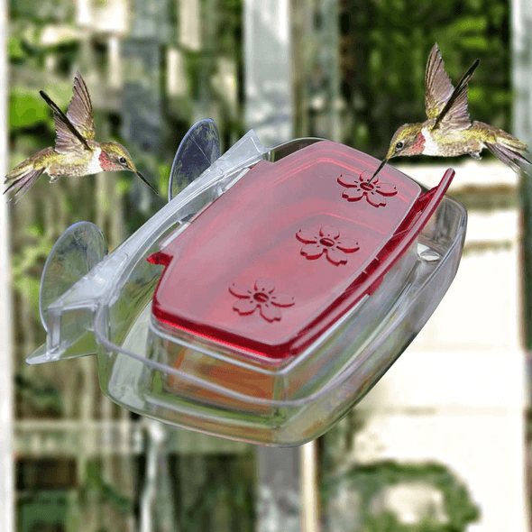 Juegoal Window Hummingbird Feeder, 8-Ounce - We Love Hummingbirds