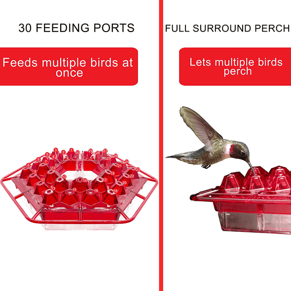 Lil Sweety Hummingbird Feeder- Made in the USA - Leak Proof, Dishwasher Safe, & Durable, UV Resistant - 30 Feeding Ports 12 Oz Capacity – Five Colors – (Red) - We Love Hummingbirds