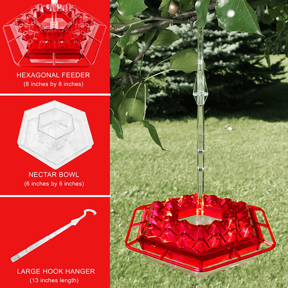Lil Sweety Hummingbird Feeder- Made in the USA - Leak Proof, Dishwasher Safe, & Durable, UV Resistant - 30 Feeding Ports 12 Oz Capacity – Five Colors – (Red) - We Love Hummingbirds