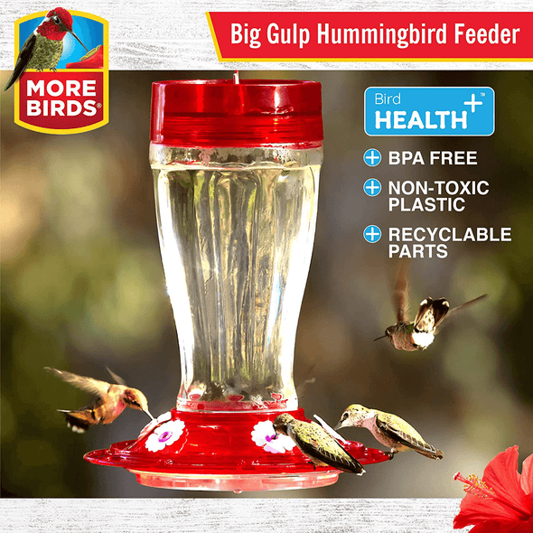 More Birds Bird Health+ Big Gulp Hummingbird Feeder, Glass Hummingbird Feeders for Outdoors, 5 Feeding Stations, 40 Ounces - We Love Hummingbirds