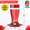 More Birds Bird Health+ Big Gulp Hummingbird Feeder, Glass Hummingbird Feeders for Outdoors, 5 Feeding Stations, 40 Ounces - We Love Hummingbirds