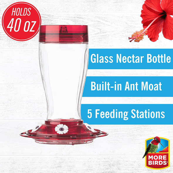 More Birds Bird Health+ Big Gulp Hummingbird Feeder, Glass Hummingbird Feeders for Outdoors, 5 Feeding Stations, 40 Ounces - We Love Hummingbirds