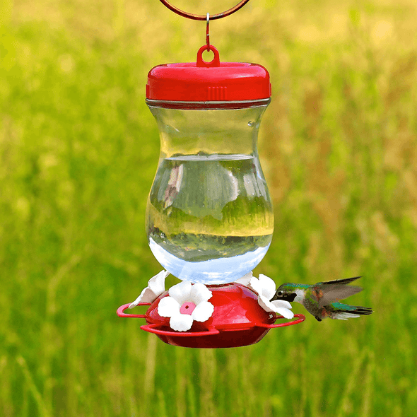 Perky-Pet 132TF 24-Ounce Glass Top Fill Hummingbird Feeder,Red,Large - We Love Hummingbirds