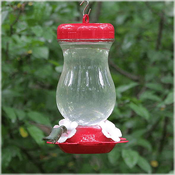 Perky-Pet 132TF 24-Ounce Glass Top Fill Hummingbird Feeder,Red,Large - We Love Hummingbirds