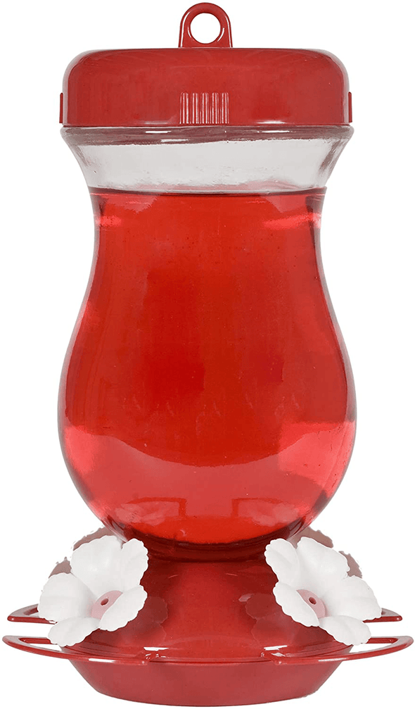 Perky-Pet 132TF 24-Ounce Glass Top Fill Hummingbird Feeder,Red,Large - We Love Hummingbirds
