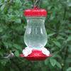 Perky-Pet 132TF 24-Ounce Glass Top Fill Hummingbird Feeder,Red,Large - We Love Hummingbirds