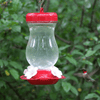 Perky-Pet 132TF 24-Ounce Glass Top Fill Hummingbird Feeder,Red,Large - We Love Hummingbirds