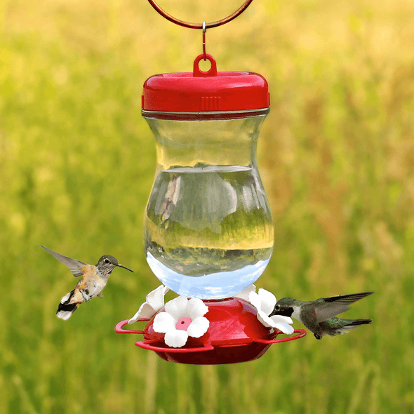 Perky-Pet 132TF 24-Ounce Glass Top Fill Hummingbird Feeder,Red,Large - We Love Hummingbirds