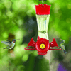 Perky Pet 203CPBN-2 8. Oz Pinch-Waist Glass Hummingbird Feeder – 2 Pack, Red - We Love Hummingbirds
