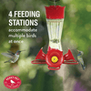 Perky Pet 203CPBN-2 8. Oz Pinch-Waist Glass Hummingbird Feeder – 2 Pack, Red - We Love Hummingbirds