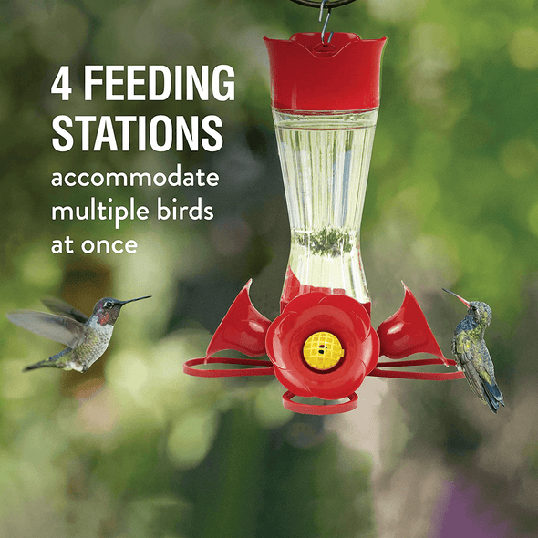 Perky Pet 203CPBN-2 8. Oz Pinch-Waist Glass Hummingbird Feeder – 2 Pack, Red - We Love Hummingbirds