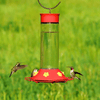 Perky-Pet 209B Our Best Glass Hummingbird Feeder, Red, 30 OZ - We Love Hummingbirds