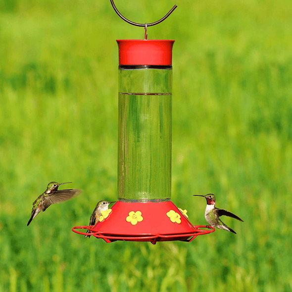Perky-Pet 209B Our Best Glass Hummingbird Feeder, Red, 30 OZ - We Love Hummingbirds