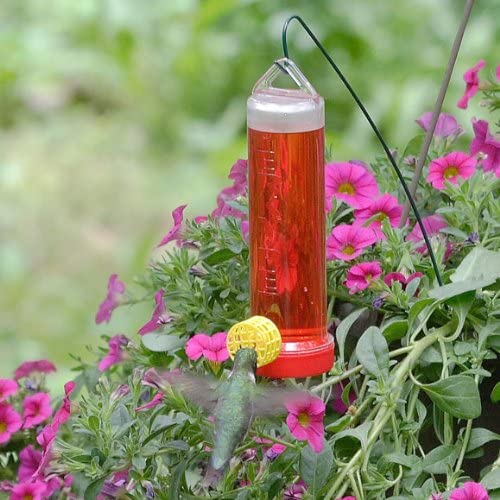 Planter Box Plastic Hummingbird Feeder - Holds 3 oz of Nectar - We Love Hummingbirds