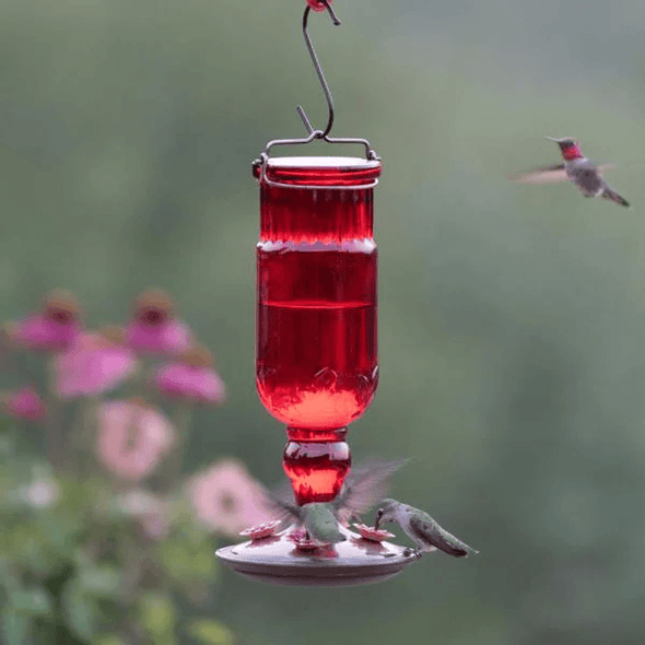 Red Antique Bottle Decorative Glass Hummingbird Feeder - We Love Hummingbirds