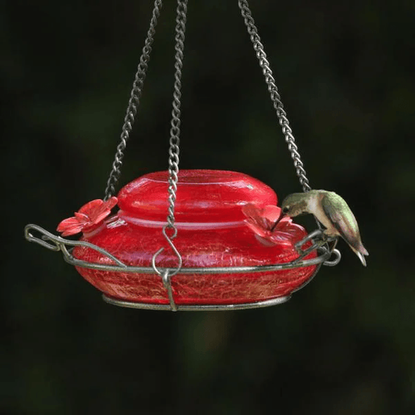 Red Crackle Modern Top Fill Hummingbird Feeder - We Love Hummingbirds