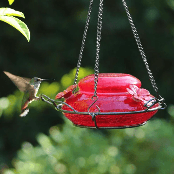 Red Crackle Modern Top Fill Hummingbird Feeder - We Love Hummingbirds