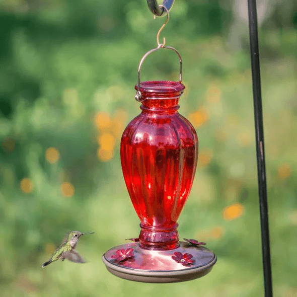 Red Daisy Vase Decorative Glass Hummingbird Feeder - We Love Hummingbirds