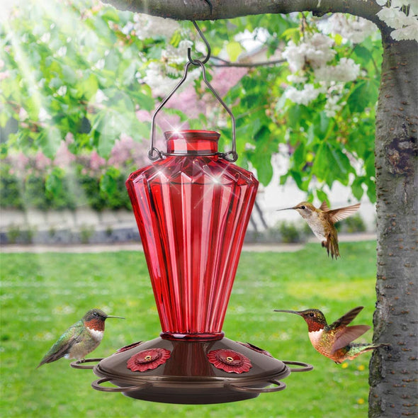 Red Diamond Shaped Glass Hummingbird Feeder - Holds 20 oz of Nectar - We Love Hummingbirds