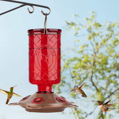 Red Glass Bottle Hummingbird Feeder with 5 Feeding Ports - Holds 22 oz of Nectar - We Love Hummingbirds