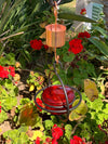 Red Glass Hummingbird Feeder with Perch - Easy to Clean & Best for Nectar Refills - We Love Hummingbirds