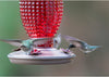 Red Hobnail Vintage Glass Hummingbird Feeder - Holds 16 oz of Nectar - We Love Hummingbirds