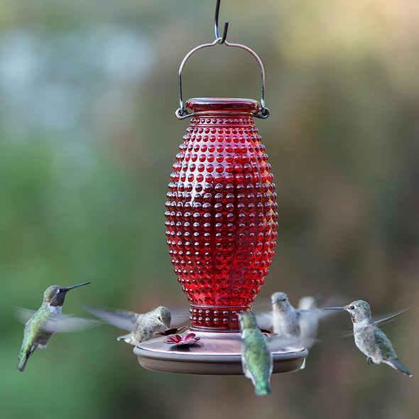 Red Hobnail Vintage Glass Hummingbird Feeder - Holds 16 oz of Nectar - We Love Hummingbirds