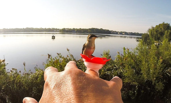 Red Hummingbird Ring Feeder - We Love Hummingbirds