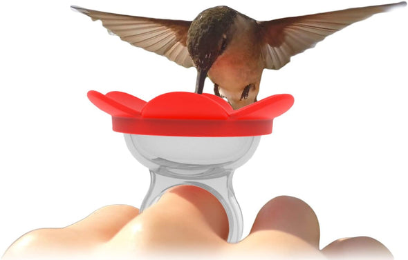 Red Hummingbird Ring Feeder - We Love Hummingbirds