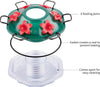 Red Lantern Glass Hummingbird Feeder - Holds 26 oz of Nectar - We Love Hummingbirds