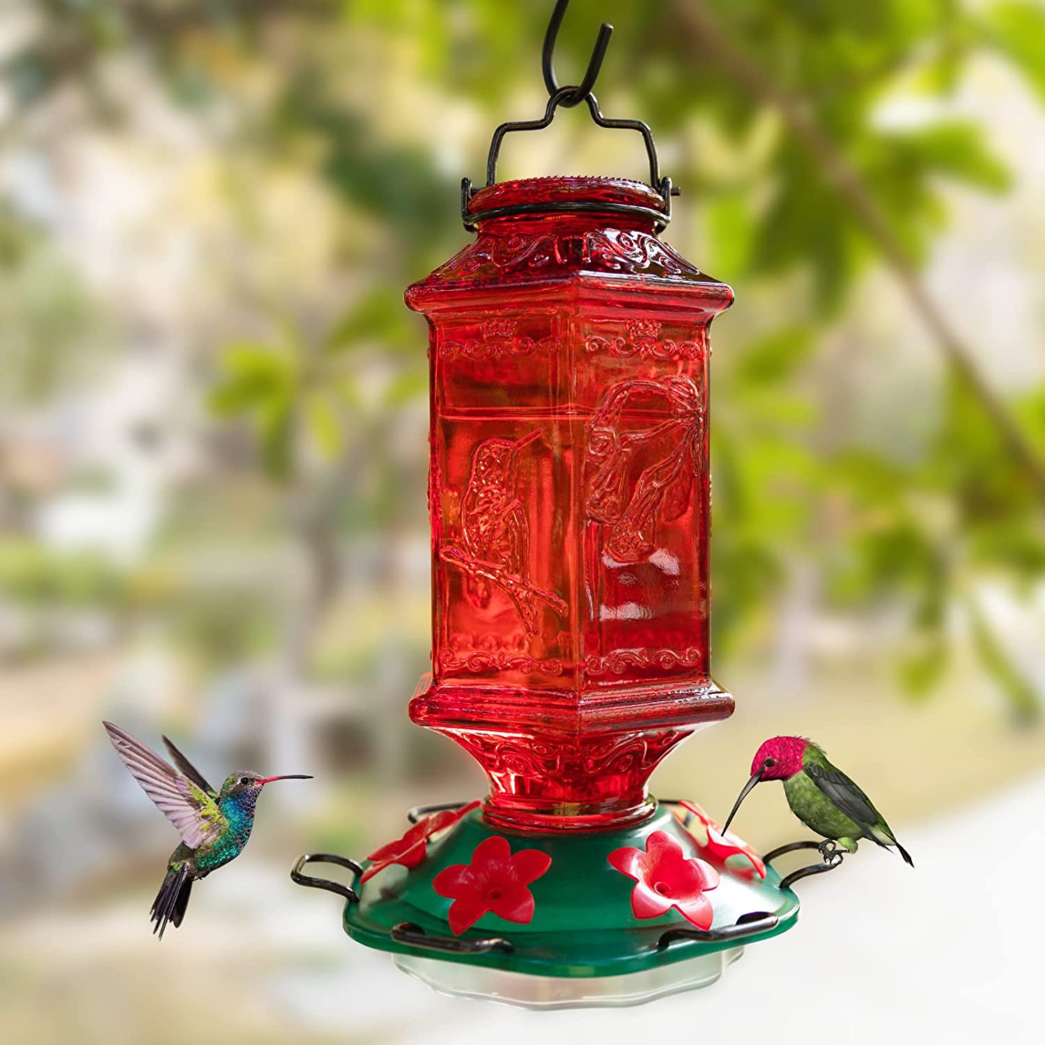 Red Lantern Glass Hummingbird Feeder - Holds 26 oz of Nectar – We Love ...