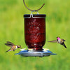 Red Mason Jar Glass Hummingbird Feeder - Holds 32 oz of Nectar - We Love Hummingbirds